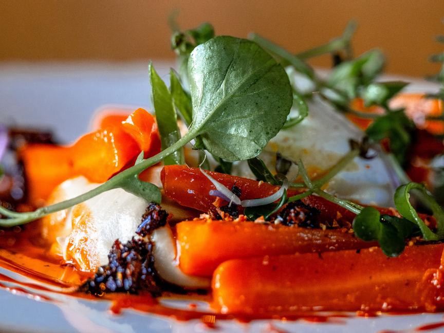 ElbUferei | Dresden | 8